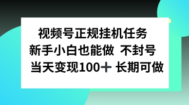 视频号正规挂播任务，有手就行不违规，轻松日入1张-副业资源网