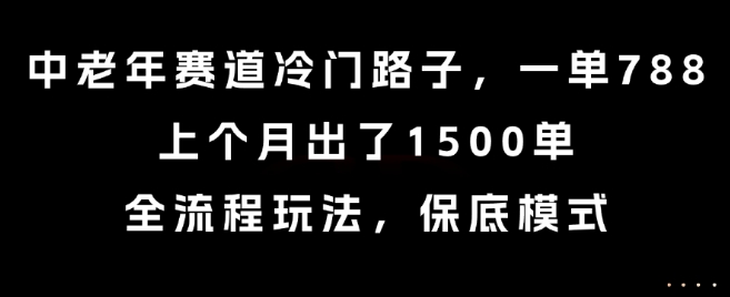 中老年赛道冷门路子，一单788，上个月出了1500单，全流程玩法，保底模式【揭秘】-副业资源网
