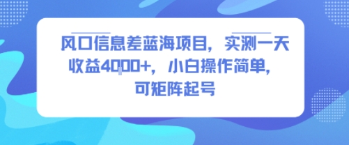 风口信息差蓝海项目，实测一天收益4k+，小白操作简单，可矩阵起号-副业资源网