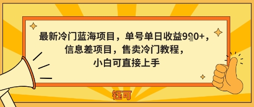 最新冷门蓝海项目，单号单日收益多张，信息差项目，售卖冷门教程，小白可直接上手-副业资源网