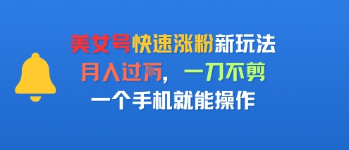 美女号快速涨粉新玩法，月入过W，一刀不剪，一个手机就能操作-副业资源网