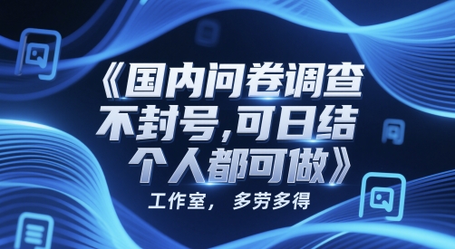 国内问卷调查，不封号，可日结，多劳多得，工作室，个人都可做-副业资源网