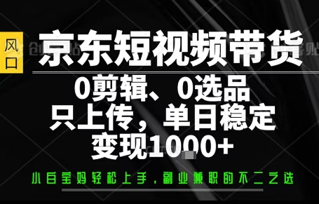 你出账号，我来运营，保底日入1k+，开启躺賺模式【揭秘】-副业资源网