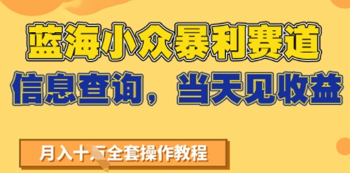 蓝海小众暴利赛道，信息查询，当天见收益，不讲玄学，7天搞了2W+-副业资源网