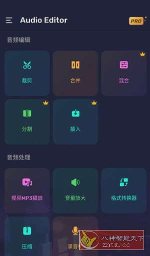 Audio Editor Pro Pro音频编辑器v1.01.72.0623专业版-副业资源网