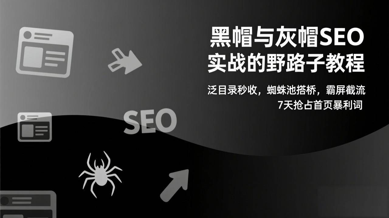 （17125期）黑帽与灰帽SEO实战的野路子教程：泛目录秒收，蜘蛛池搭桥，霸屏截流，7天抢占首页暴利词-副业资源网