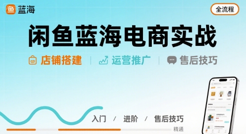 闲鱼蓝海电商实战，店铺搭建运营售后全流程-副业资源网