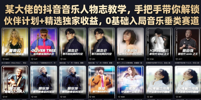 某大佬的抖音音乐人物志教学，手把手带你解锁伙伴计划+精选独家收益，0基础入局音乐垂类赛道-副业资源网