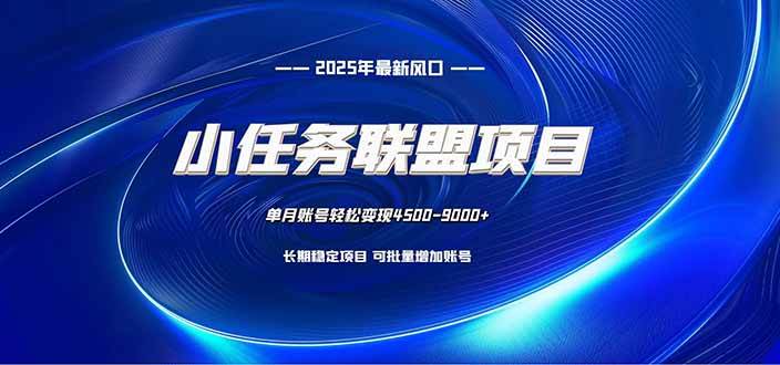 (16521期)小任务联盟项目:一台电脑每天只需10分钟,轻松简单稳定-副业资源网