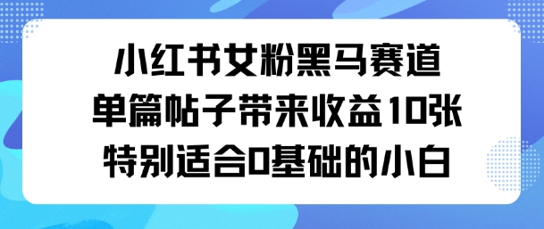 小红书女粉黑马赛道单篇帖子带来收益10张特别适合0基础的小白-副业资源网