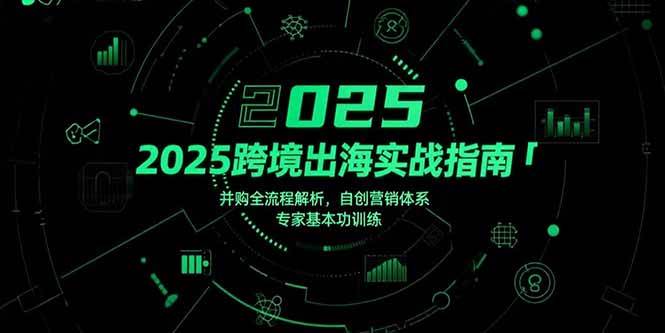 （15503期）2025跨境出海实战指南，并购全流程解析，自创营销体系，专家基本功训练-副业资源网
