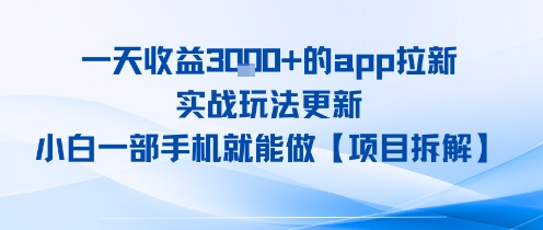 一天收益1k+的app拉新，实战玩法更新，小白一部手机就能做【项目拆解】-副业资源网
