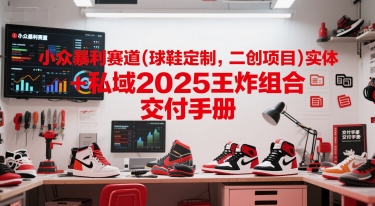 小众暴利赛道(球鞋定制，二创项目)实体+私域2025王炸组合 交付手册-副业资源网