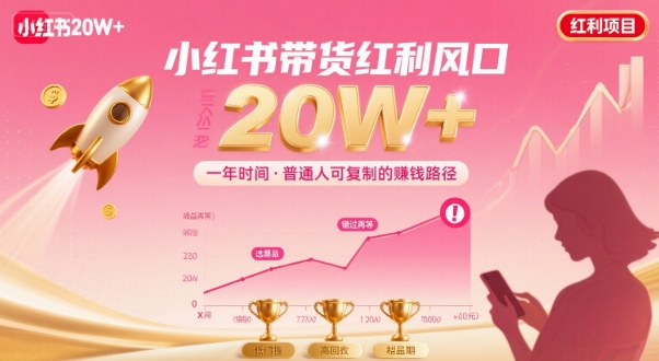 一年时间靠小红书带货项目年入20w+，最不能错的大红利项目-副业资源网