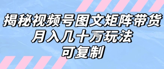 解密视频号图文矩阵带货，月入几个W的打法，可复制-副业资源网