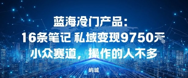 蓝海冷门产品:16条笔记私域变现9750米,小众赛道,操作的人不多-副业资源网