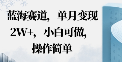 蓝海赛道，小红书私域项目，单月变现2W+，小白可做，操作简单-副业资源网