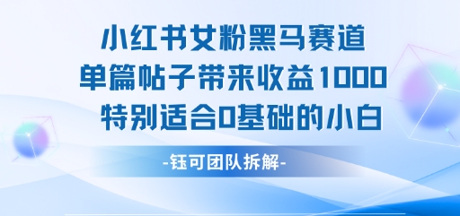 小红书女粉黑马赛道单篇帖子带来收益1k+，特别适合0基础的小白-副业资源网