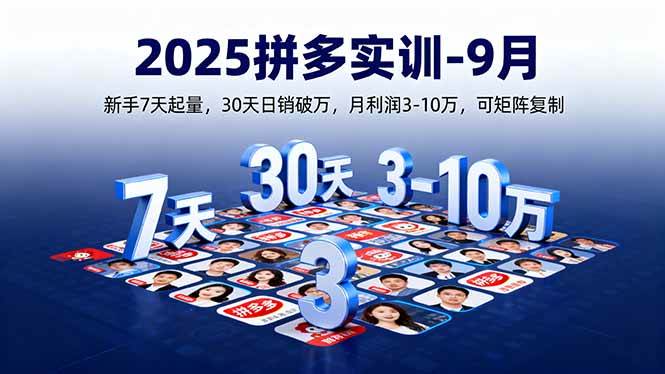 （16008期）2025拼多多实训-9月：新手7天起量,30天日销破万,月利润3-10万,可矩阵复制-副业资源网