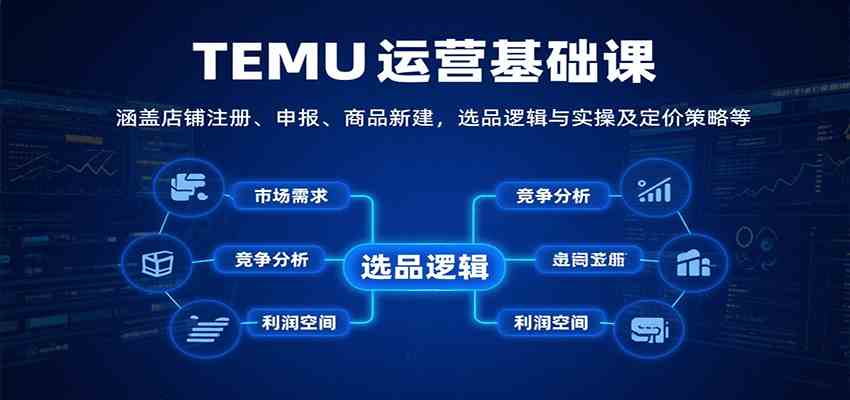 TEMU运营基础课：涵盖店铺注册、申报、商品新建，选品逻辑与实操及定价策略等-副业资源网
