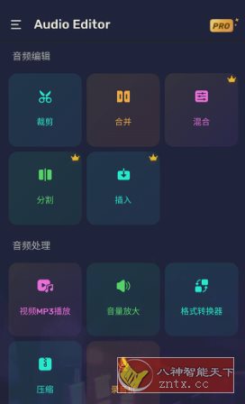 Audio Editor Pro Pro音频编辑器v2.01.02.0731专业版-副业资源网