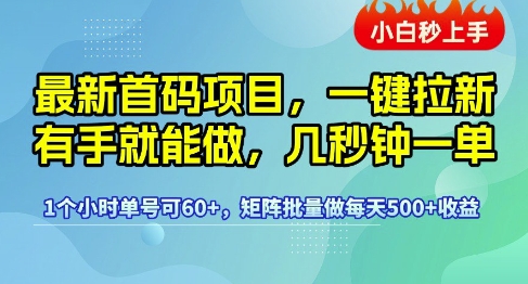 最新首码项目，一键拉新有手就能做，几秒钟一单，1个小时单号可60+，矩阵批量做每天5张【揭秘】-副业资源网