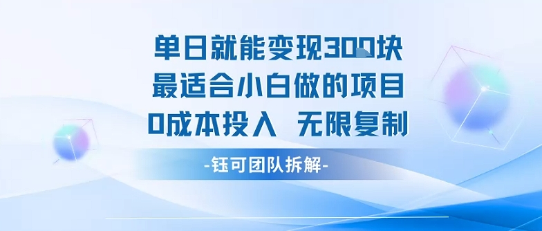 单日就能变现3张最适合小白做的项目0成本投入 无限复制-副业资源网