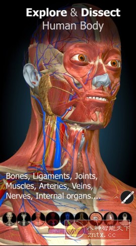 Anatomy Learning 3D解剖学v3.1.493高级版-副业资源网