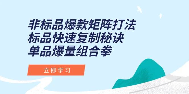 （15068期）非标品爆款矩阵打法，标品快速复制秘诀，单品爆量组合拳-副业资源网
