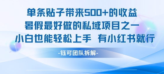 单条贴子带来5张的收益，暑假最好做的私域项目之一，小白也能轻松上手，有小红书就行-副业资源网