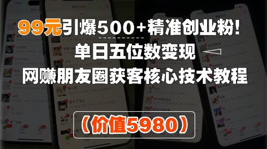 99元引爆500+精准创业粉！单日五位数变现，网创朋友圈获客核心技术教程-副业资源网