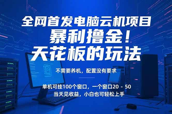 （15323期）电脑云机项目 暴力撸金玩法，不需要养机 配置没有要求 单机100个窗口一…-副业资源网