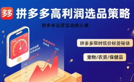 拼多多选品暴利技术实战课，拼多多高利润选品策略，拼多多限时低价标签秘诀-副业资源网