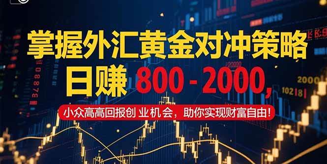 （15198期）掌握外汇黄金对冲策略，日赚 800 – 2000，小众高回报创业机会，助你实…-副业资源网