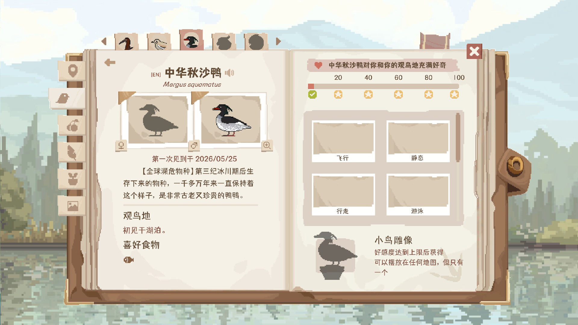 观鸟笔记/Birdwatching Notebook