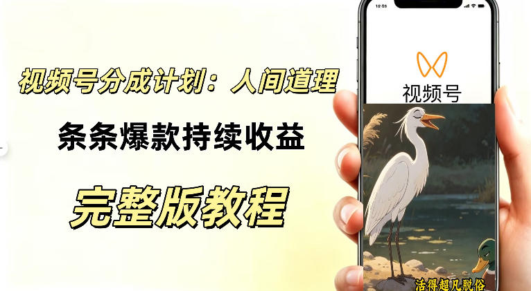 视频号新玩法之AI动漫画风励志视频，不用会画画、不用拍摄，持续化收益，详细拆解-副业资源网