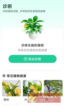 Plant Parent 植物养护v1.102高级版-副业资源网