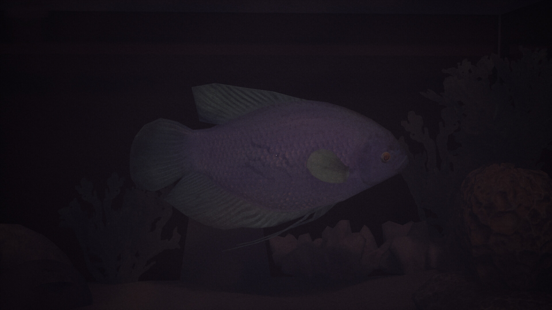 哈鲁:金鱼/Halu - The Fish 新游发布 哈鲁:金鱼/Halu - The Fish 新游发布