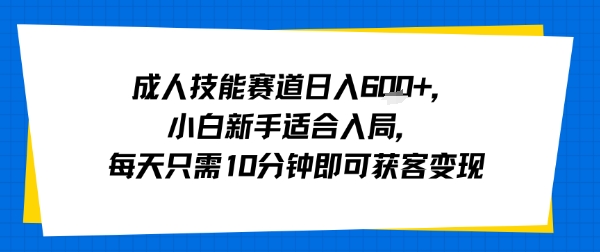 成人技能赛道日入多张，小白新手适合入局，每天只需10分钟即可获客变现-副业资源网