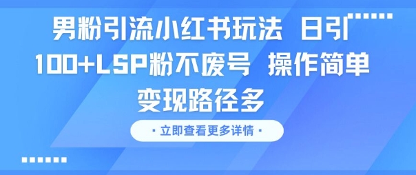 男粉引流小红书玩法，日引100+LSP粉不废号，操作简单，变现路径多-副业资源网
