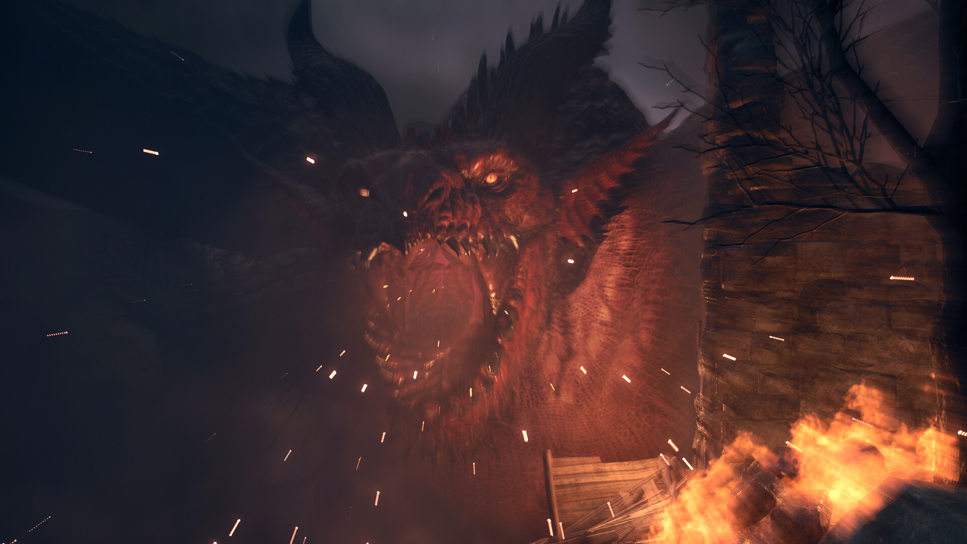 龙之信条2/Dragon's Dogma 2『移除D加密』 版本更新