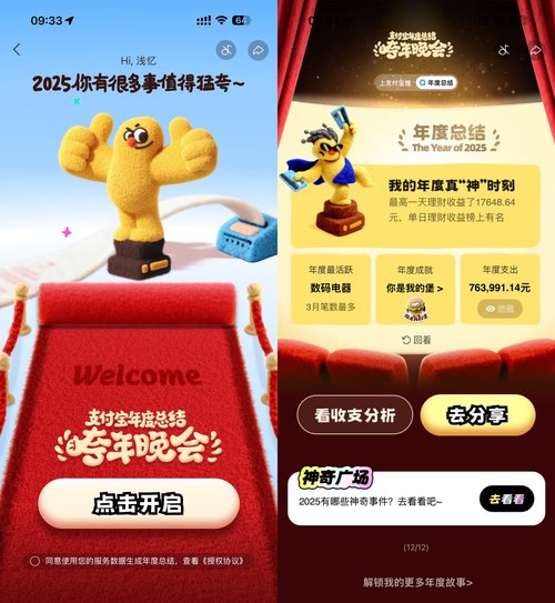 支付宝查看2025年的年度报告-副业资源网