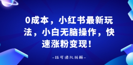 0成本，小红书最新玩法，小白无脑操作，快速涨粉变现-副业资源网