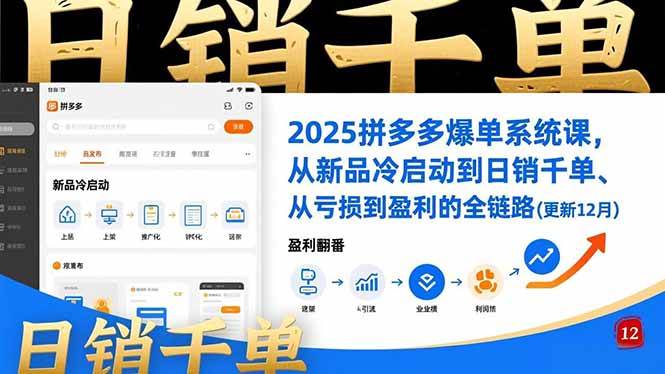 （16894期）2025拼多多爆单系统课，从新品冷启动到日销千单、从亏损到盈利的全链路（更新12月）-副业资源网