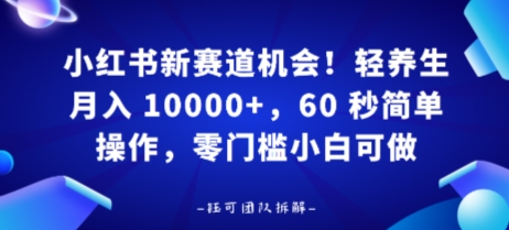 小红书新赛道机会，轻养生月入 1w，60 秒简单操作，带货接广都可以，零门槛小白可做-副业资源网