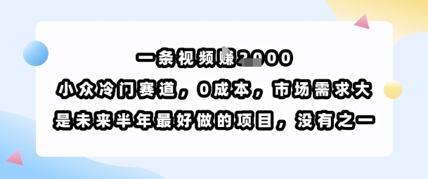 一条视频挣1k，小众冷门赛道，0成本，市场需求大，是未来半年最好做的项目，没有之一-副业资源网