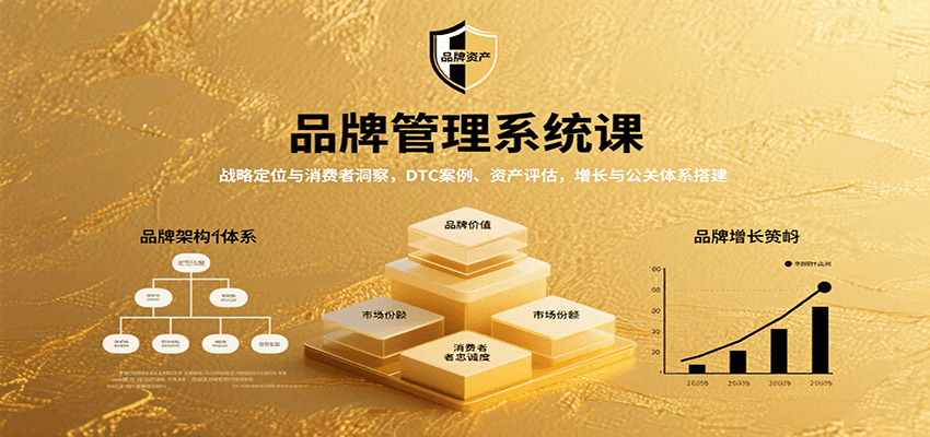 品牌管理系统课：战略定位与消费者洞察，DTC案例、资产评估，增长与公关体系搭建-副业资源网
