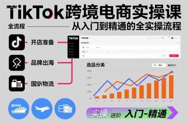 TikTok跨境电商实操课，从入门到精通的全实操流程-副业资源网