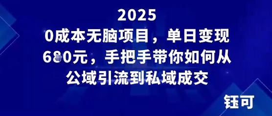 0成本无脑项目，单日变现多张，手把手带你如何从公域引流到私域成交-副业资源网