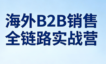 雨哥·海外B2B销售全链路实战营-副业资源网